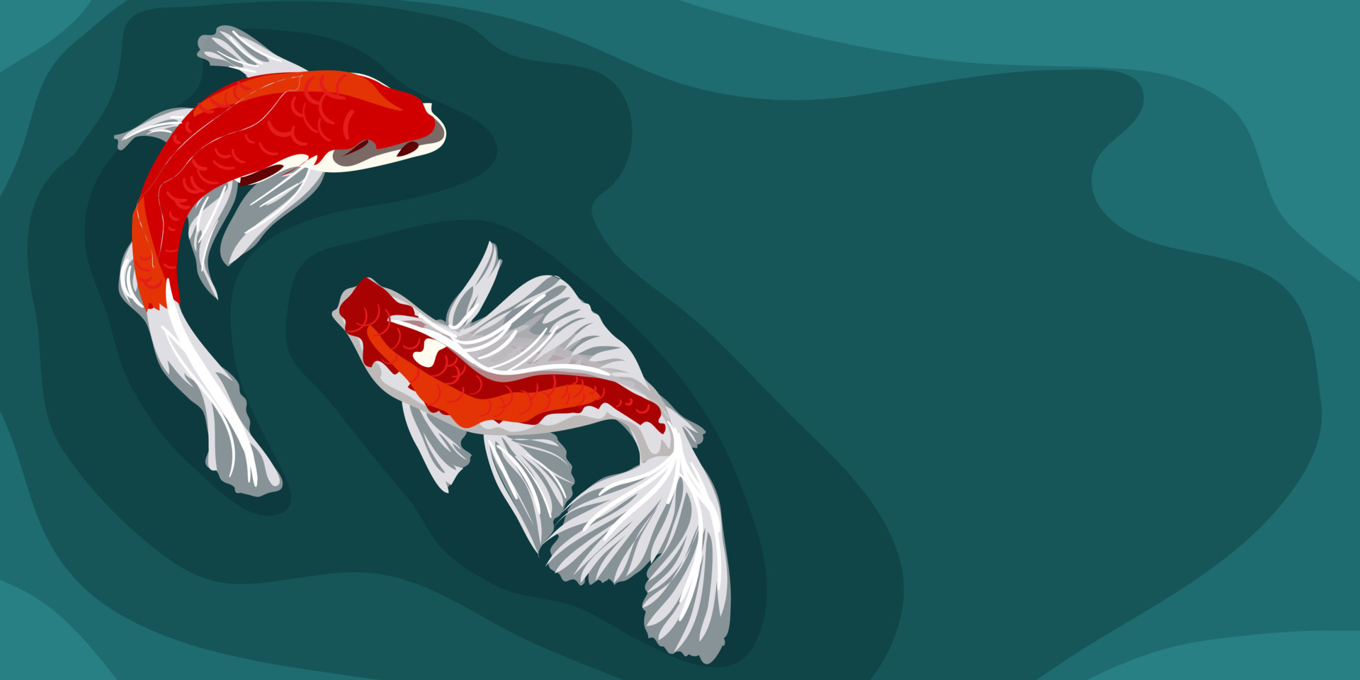 Two koi circling in dark water, oriental banner illustration